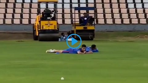 Honey bee Attack During Mumbai Indians Practice Session