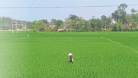 agricultural