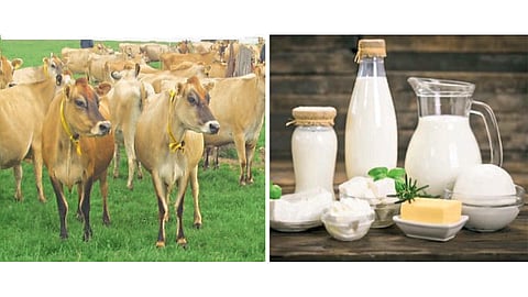 Milk