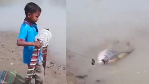 Viral Video