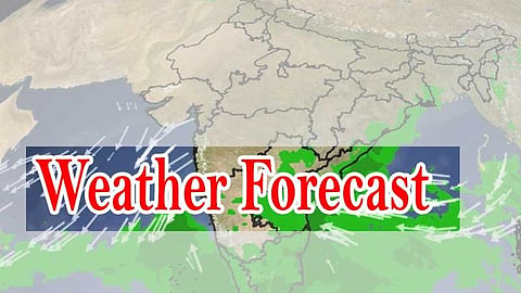 weather forecast