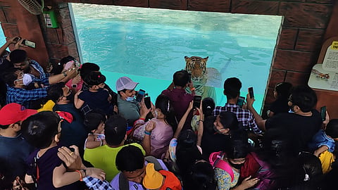 Mumbai Zoo