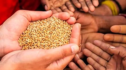 The food crisis will only get worse