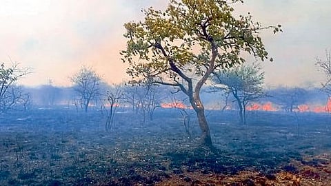Nagpur fire at Gorewada forest animal safe fire brigade