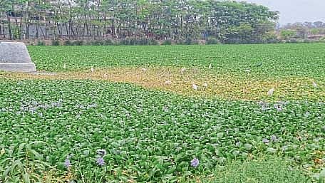 Sambhaji lake