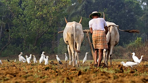 Farmer