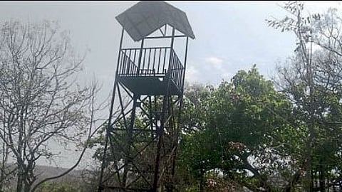 Aurangabad Gautala Sanctuary conducting wildlife census