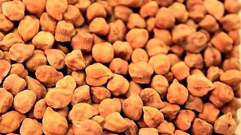 gram Production
