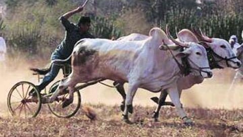 बैलगाडी