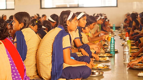School Nutrition Food Scheme