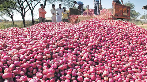Onion
