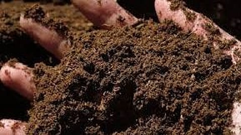 Fertilizer shortage decline in livestock inflation