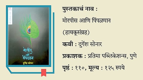 book morpis aani pimpalpan
