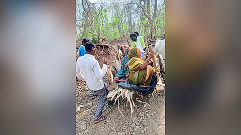 Shivni village has no road Patients have to face problems transported by bullock cart