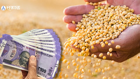Inflation soybean seeds bag price increase up by 900 to 1000