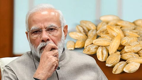 Wheat sent back by Turkey citing rubella virus