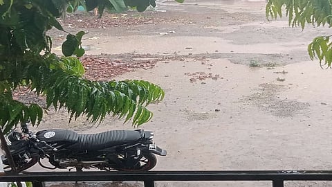 Rain Upates