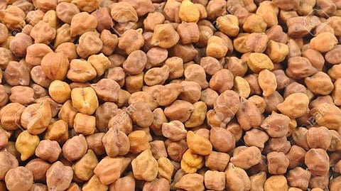 gram crop