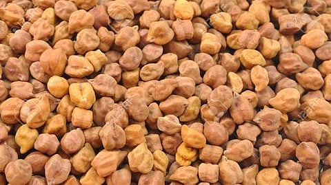 gram crop