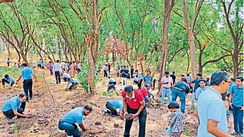 Inauguration of forest formation on Brahmagiri mountain
