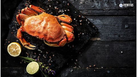 Crab food