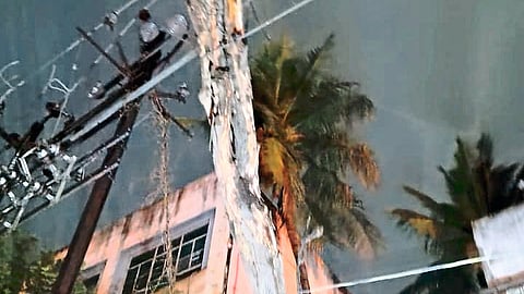 पावसाने उच्च दाबाच्या तारांवर कोसळलेले झाड