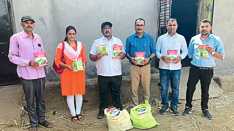 Bogus seeds seized in agriculture department