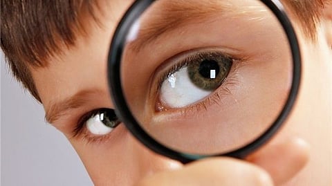 sight