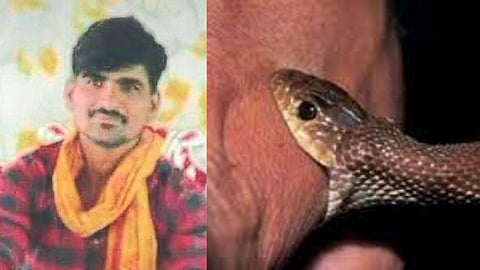 Bhausing Locham death due to snake bite