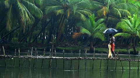 konkan rain update