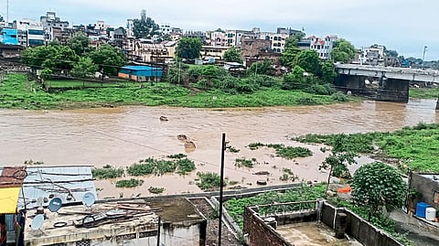 akola