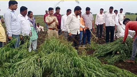 solapur