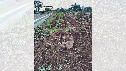 agriculture land