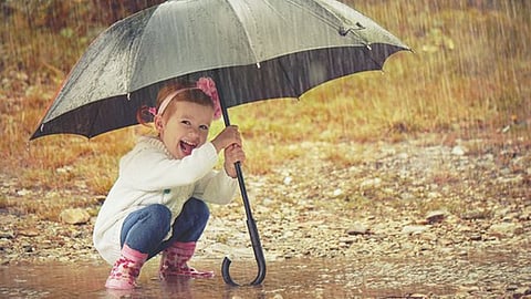 umbrella