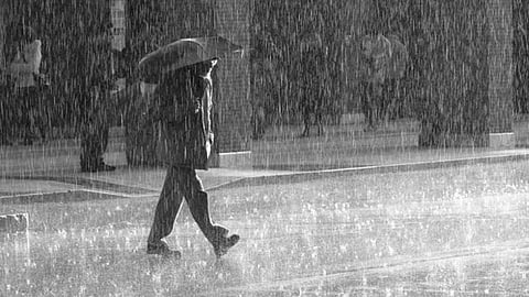 Rain