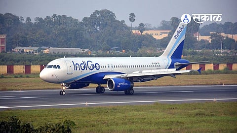 indigo plane