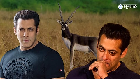 salman khan news