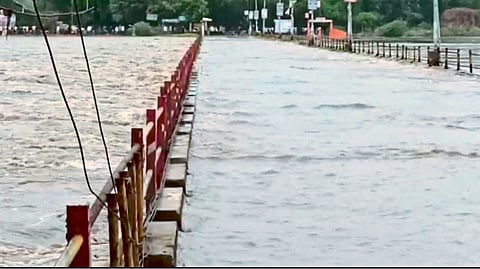 Godavari River