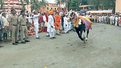 Ashadi Wari 2022 Sant Tukaram Maharaj Palkhi at akluj solapur