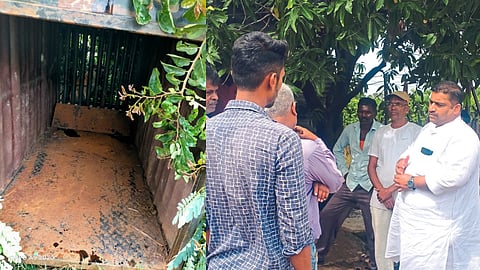 Leopard latest marathi news
