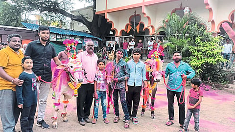 Bail Pola Festival 2022 news
