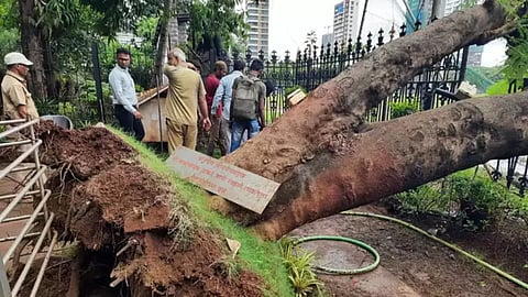 Dadar Shivaji Park Shivtirth