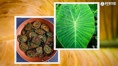 Alu vadi recipe