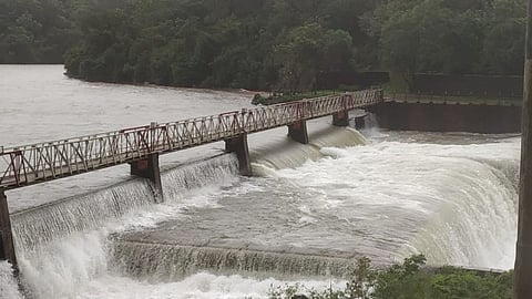 radhanagari dam 50 percent water level monsoon rain weather kolhapur