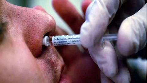 BBV154 vaccine