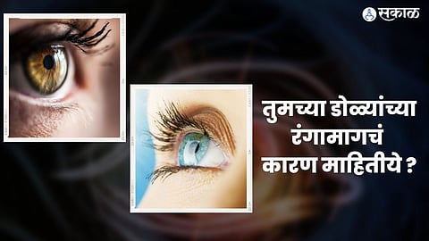 Know the scientific reason of eye color