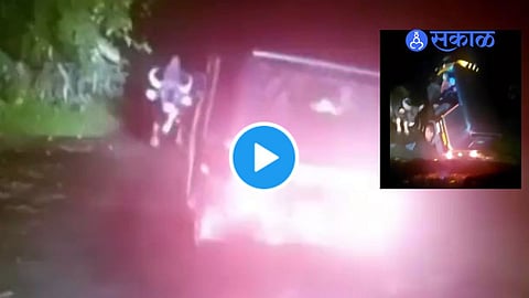 Viral Video