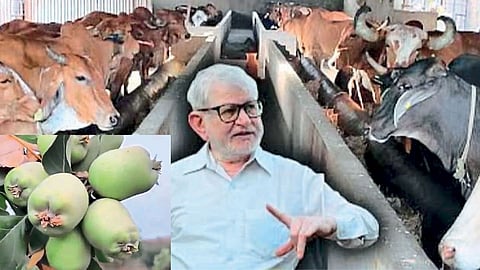 डॉ. सीताराम जाधव