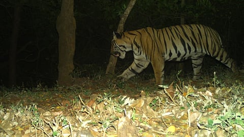 satara