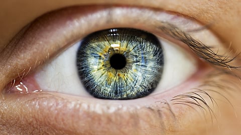 World retina day
